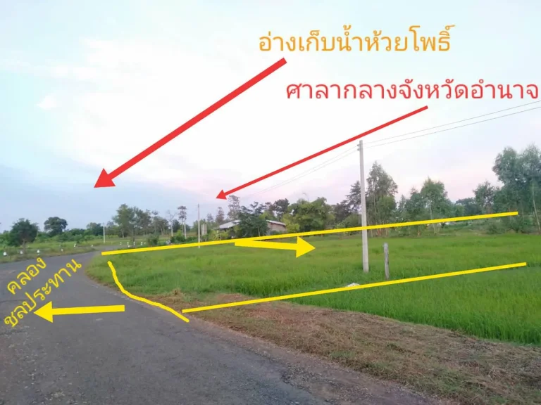 ขายที่นาติดคลองชลประทาน มีไฟฟ้า