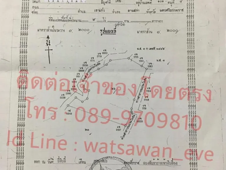 ขายที่ดิน พร้อมสวนยาง 9 ไร่ เจ้าของขายเอง