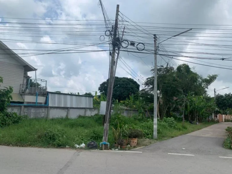 ขานที่ดินติดถนนสองด้าน แยกโฮมโปรสันคะยอมสันทรายหนองจ๊อม