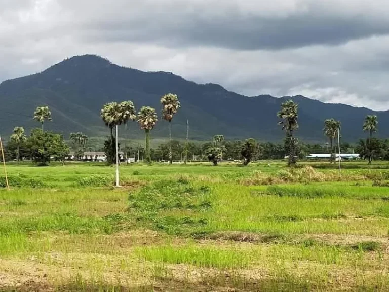 ขายที่ดินติดถนนค้าขายได้ ออนใต้ สันกำแพง