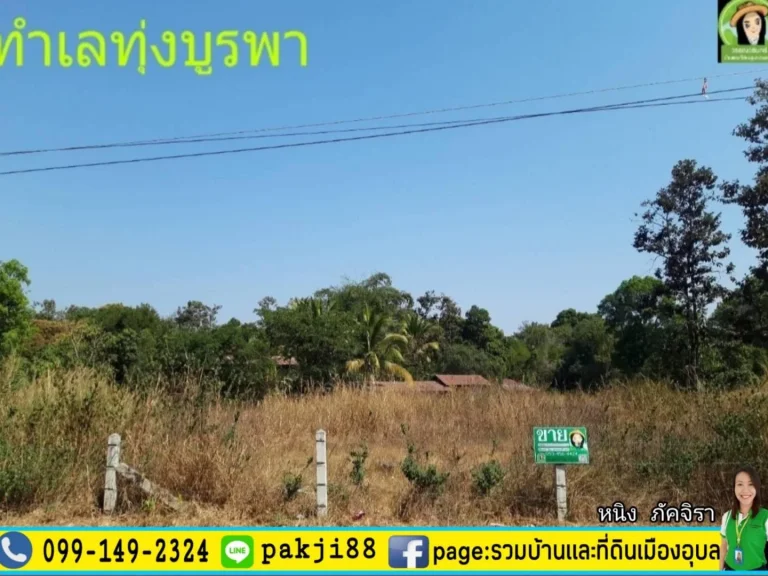 ที่ดินสร้างบ้าน โซนสนามกีฬาทุ่งบูรพาใกล้ศาลากลางหลังใหม่อุบลฯ