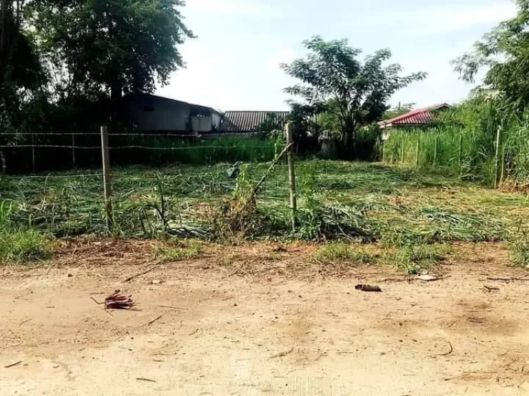 ขายที่ดินปรับหน้าดินเรียบร้อยแล้ว สันกลางบ้านมอญ เรือนแพ