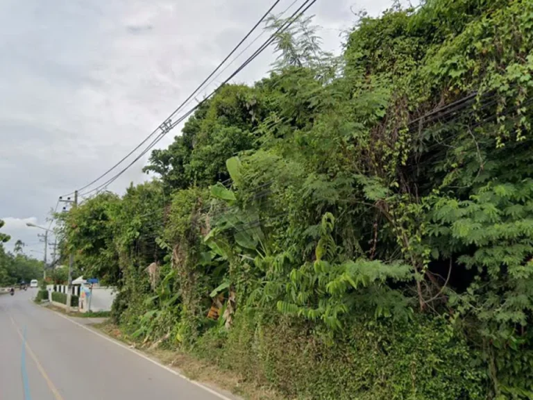 ขายที่ดินแถวคุรุสภา สันทรายดอยสะเก็ต ติดถนนซอย