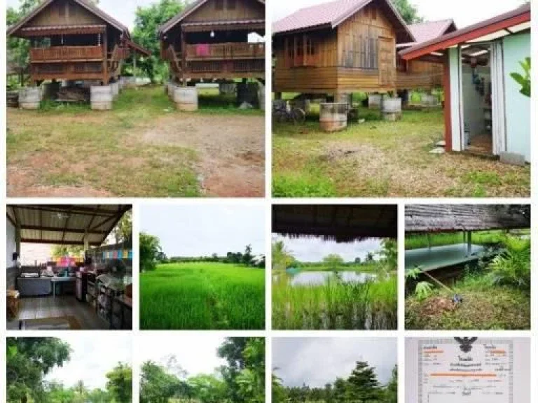 ขายที่สวนพร้อมบ้าน ตำบลเหล่าทอง อำเภอโซ่พิสัย จังหวัดบึงกาฬ