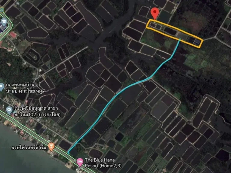 Ps115 ขายที่ดินบ่อกุ้งเหมาะทำโฮมสเตย์ รีสอร์ทเพราะใกล้ทะเล11km