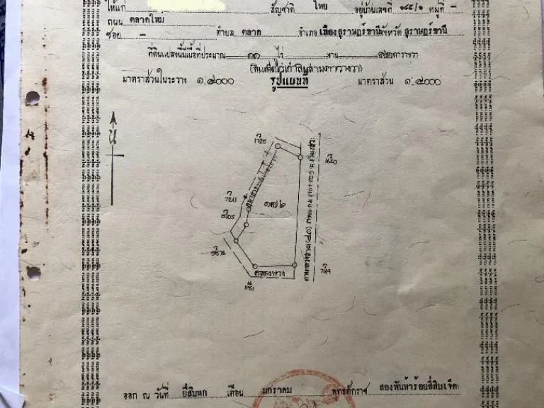 ที่ดิน 11 ไร่