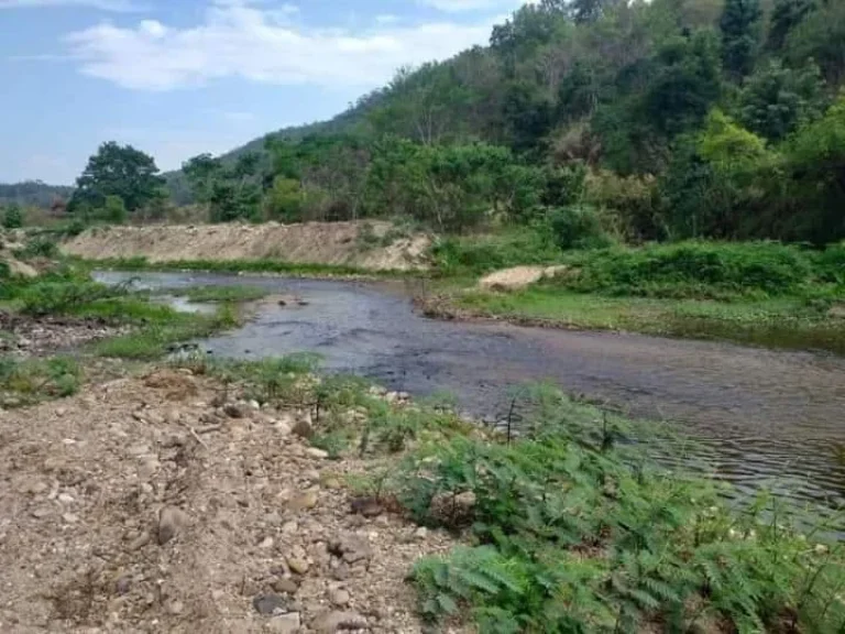 ขายที่ดินโฉนดป่าเมี่ยงติดลำห้วย วิวภูเขา