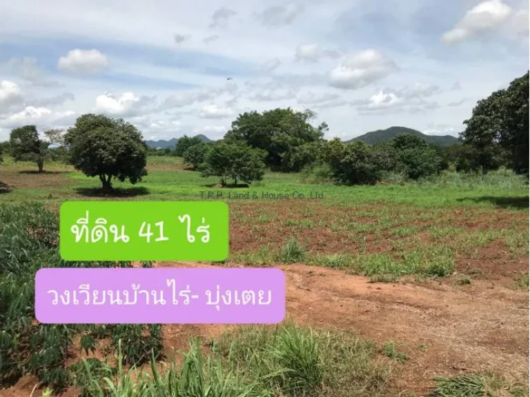 ขายที่ดิน 41 ไร่ วงเวียนบ้านไร่-บุ่งเตย ตหมูสี อปากช่อง จนครราชสีมา