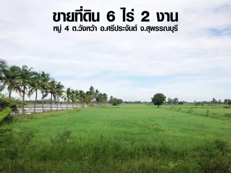 ขายที่ดินเปล่าสวยๆ 6 ไร่ 2 งาน เจ้าของขายเอง