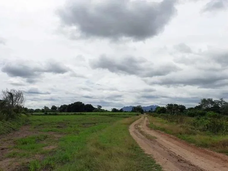 ที่ดิน9ไร่โฉนดติดคลองลำสนธิมีน้ำตลอดปี ตหนองยายโต๊ะ อชัยบาดาล จลพบุรี