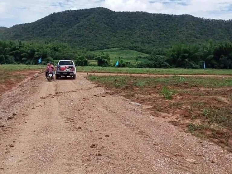 ขายถูก ที่ดิน วิวสวย ด่านช้าง ใกล้วัดธาตุมหาพรหม