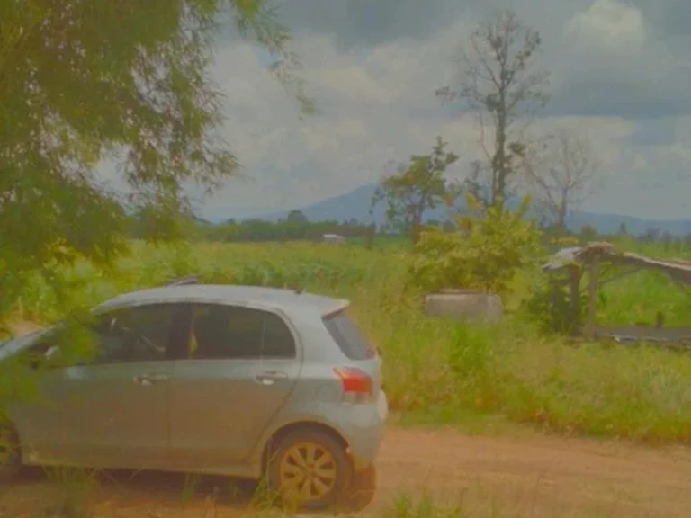 ที่ดินทำบ้านสวนไร่ล่ะ100000 บาท ต่อรองได้