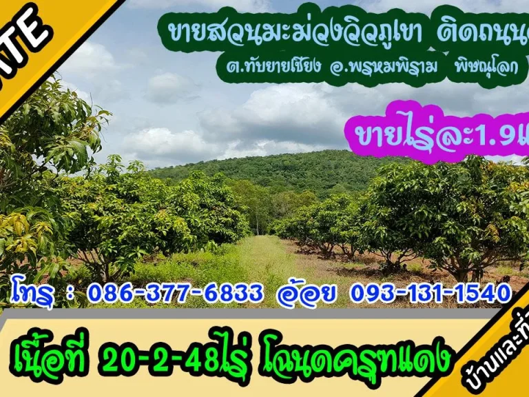 ขายสวนมะม่วงติดถนนลาดยาง ติดภูเขา ใกล้สายเอชีย เนื้อที่20-2-48ไร่ ตทับยายเชียง อพรหมพิราม พิษณุโลก ไร่ละ 19แสน