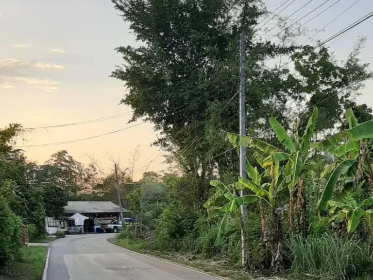 ขายที่ดินวิวดอย ห่างน้ำพุร้อน 500 เมตร แม่ออน