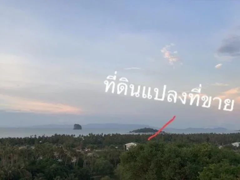 ขายที่ดินโฉนด 45 ไร่ ในเขตเทศบาล อดอนสัก sea view