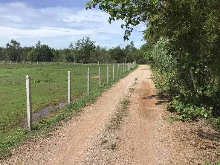  ที่ดินโฉนดสวย 2 ไร่ 400000 บาท ไร่ ติดถนนสองด้าน มีไฟฟ้าประปา ล้อมรั้วแล้ว