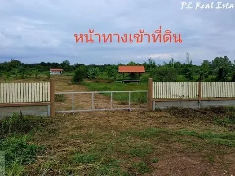 ขายที่ดิน 8 ไร่ อเมือง นครนายก เหมาะทำการเกษตร