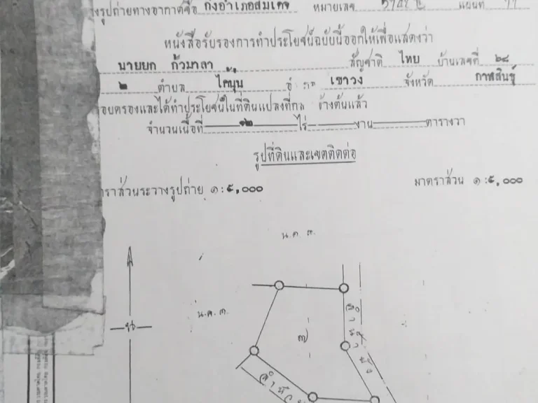 ขายที่ดิน เป็นที่สวนยาง อายุ 5ปี เ ป็น นส3ก