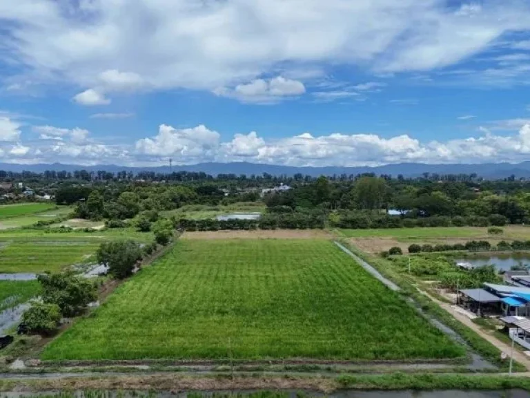 ที่ดินแปลงมุมวิวทุ่งนาภูเขา สารภี เชียงใหม่