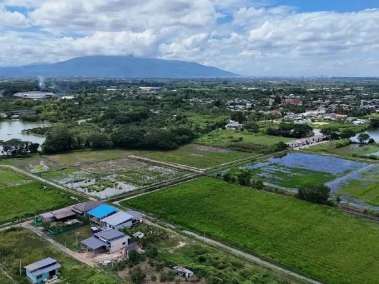 ที่ดินแปลงมุมวิวทุ่งนาภูเขา สารภี เชียงใหม่