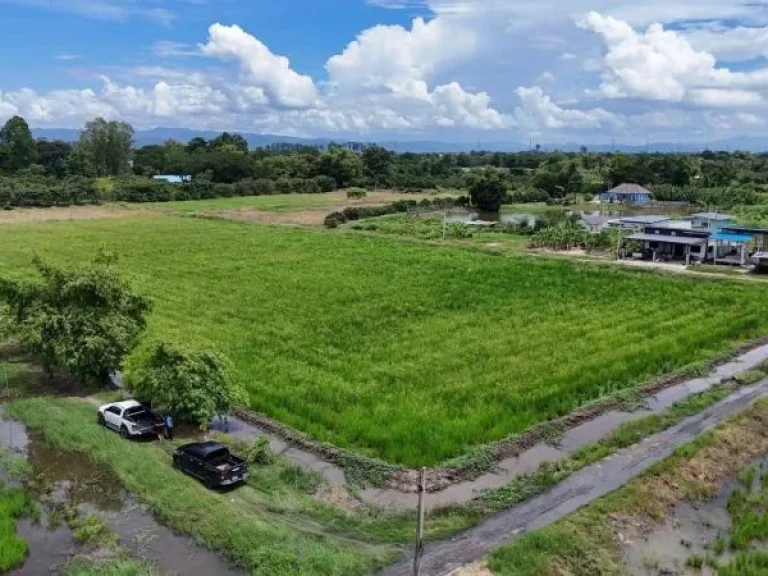 ที่ดินแปลงมุมวิวทุ่งนาภูเขา สารภี เชียงใหม่