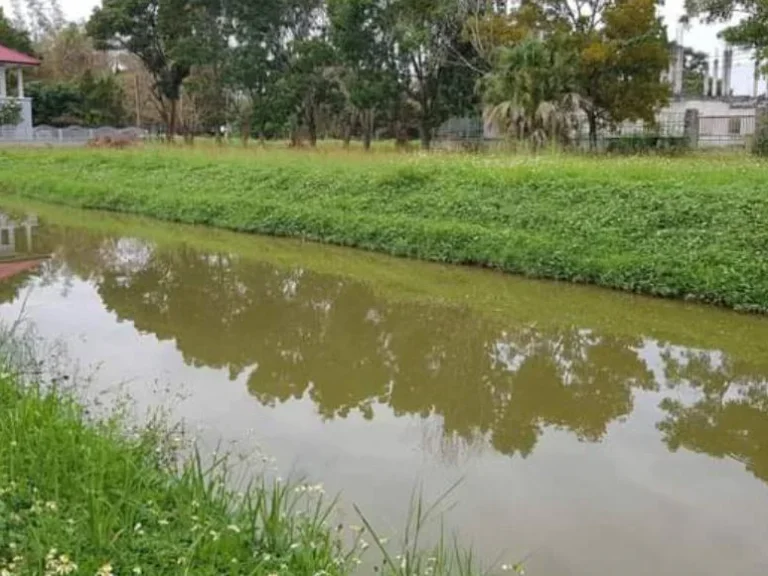 ขายที่ดินในโครงการ ดอยสะเก็ต ติดคลองน้ำ