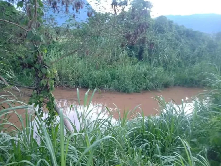 ขายที่ดินเชียงดาว วิวดอยหลวง ติดถนนสองด้าน