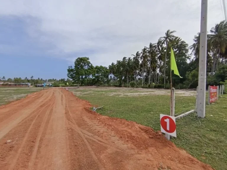 ที่ดินวิวเขา ใกล้ทะเล 110-200 ตรว ใกล้หาดคลองวาฬ ติดถนนใหญ่า