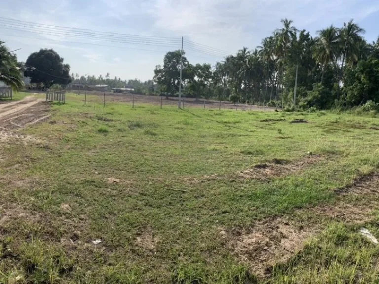 ที่ดินวิวเขา ใกล้ทะเล 110-200 ตรว ใกล้หาดคลองวาฬ ติดถนนใหญ่า