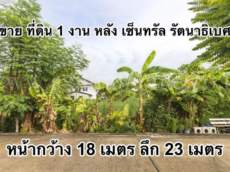 ที่ดิน 1 งาน ซอย รณสิทธิพิชัย 81 หลัง เซ็นทรัล รัตนาธิเบศร์