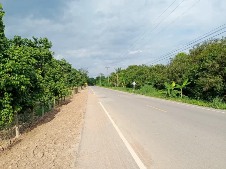 เสนอขายสวนผสมแปลงใหญ่และสวยมาก มีทุเรียนหมอนทอง ลำไย เงาะ ที่อยู่ติดแม่น้ำจันทร์ เนื้อที่ 208 ไร่ ซากไทย เขาคิชฌกูฎ จันทบุรี