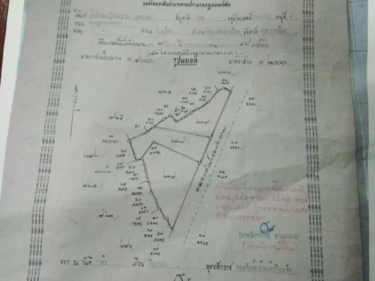 ขายที่ดิน ขามทะเลสอ มี 2แปลง 300 ตรว และ 1ไร่