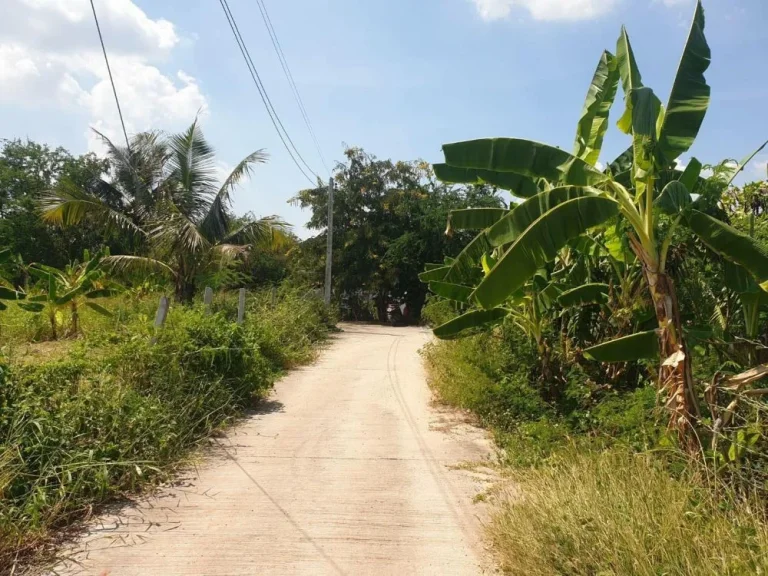 ขายที่ดิน 3งาน 73ตรว เหมาะสร้างบ้าน แบบร่มรื่น บรรยากาศดี มีบ่อน้ำ ทำการเกษตรได้ อยู่หลังเดอะมอลล์