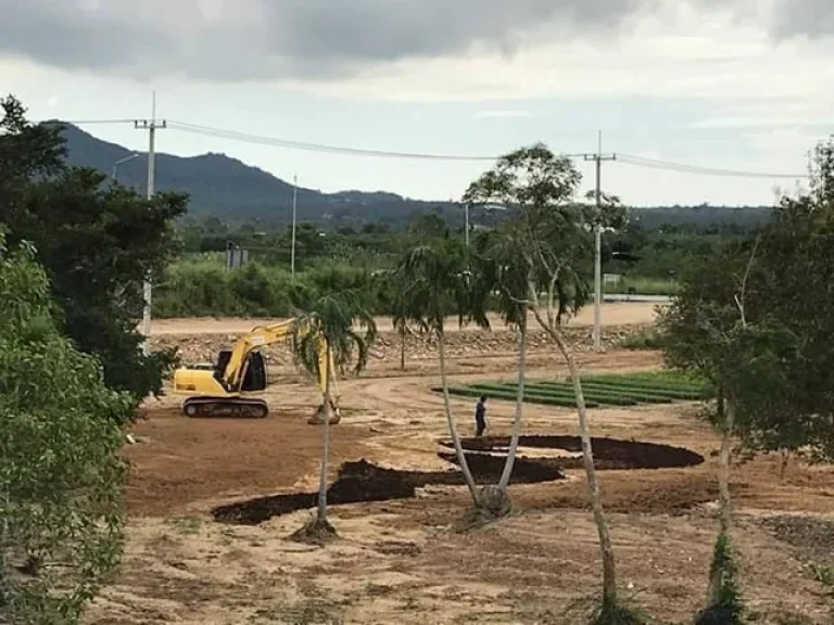 ขายที่ดิน พลูตาหลวง ชลบุรี 15 ไร่ 0 งาน 381 ตรว ติดถนน สายฉะเชิงเทรา สัตหีบ