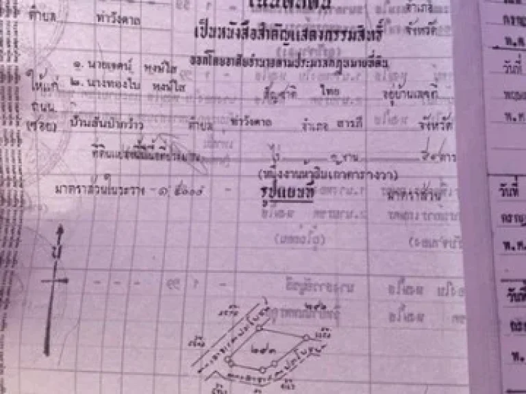 ขายด่วน ที่ดินพร้อมตึกอาคาร ทำเป็นที่พักอาศัยได้ เนื้อที่ 159 ตรว ตท่าวังตาล เชียงใหม่