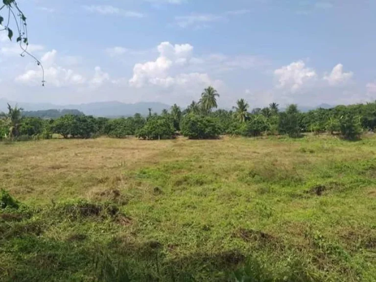 ขายที่ดินติดคลองชลประทานน้ำบ่อหลวง สันป่าตอง ราคาถูก