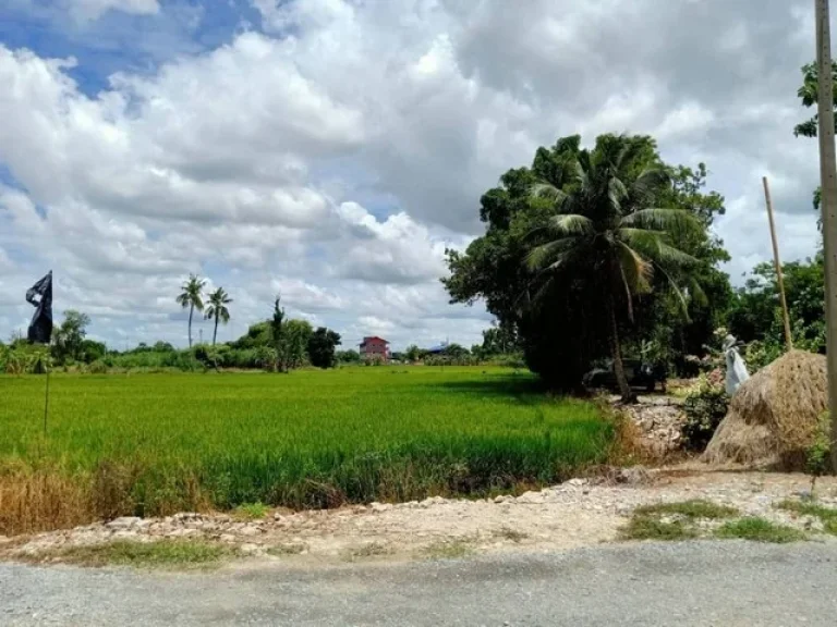 ขาย ที่ดิน 1 ไร่ 3 ตรว ในซอยวัดลาดปลาดุก บางบัวทอง แปลงมุม ที่สวยมาก ใกล้ แม๊กซ์แวลู