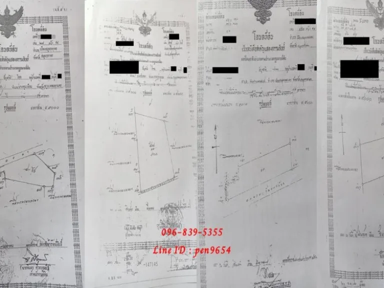 ขายที่ดิน พันท้ายนรสิงห์ 124 ไร่กว่า