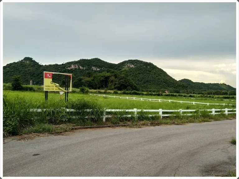 ขายที่ดินจัดสรรเขาใหญ่แปลงเล็ก 301 ตรวา อยู่เยื้องคีรีมายา เหมาะสร้างบ้าน มีเพื่อนบ้านคนกทม วิวเขาใหญ่