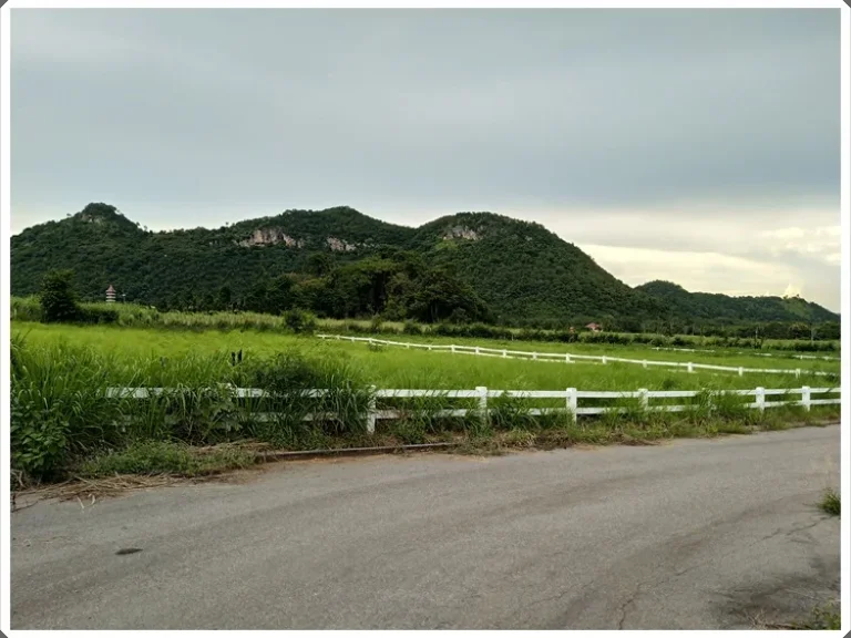 ขายที่ดินจัดสรรเขาใหญ่แปลงเล็ก 301 ตรวา อยู่เยื้องคีรีมายา เหมาะสร้างบ้าน มีเพื่อนบ้านคนกทม วิวเขาใหญ่