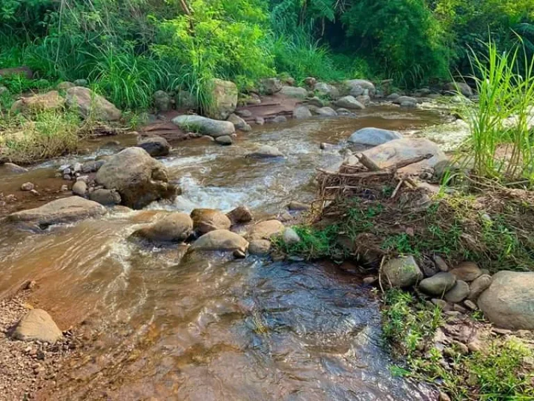 ขายที่ดินวิวภูเขา ท่าผาเขต แม่แจ่ม ติดธารน้ำ ราคาถูก