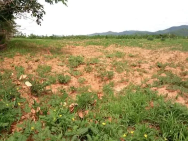 ที่ดินแปลงสวย ติดถนนสายหลัก ราคาถูก อุตรดิตถ์