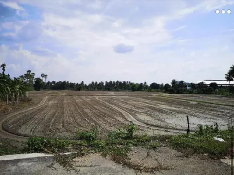 Land For Sale ที่ดิน 3 ไร่ พื้นที่สีชมพู ติดถนนใหญ่นครชัยศรี ทำเลดี