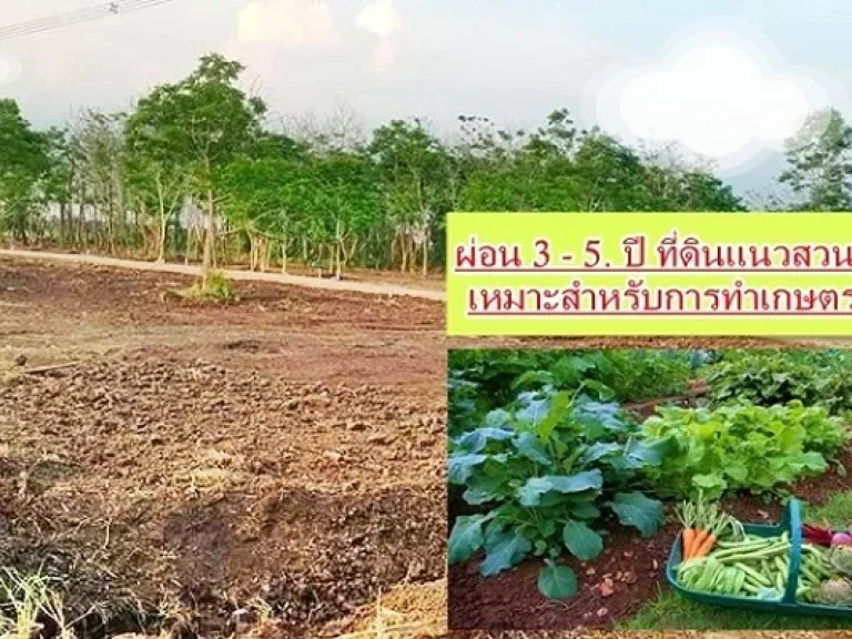 พร้อมแล้วที่ดินผ่อนได้แนวสวนเกษตรเฟส_3 คลอง10 หนองเสือ T062-1574449