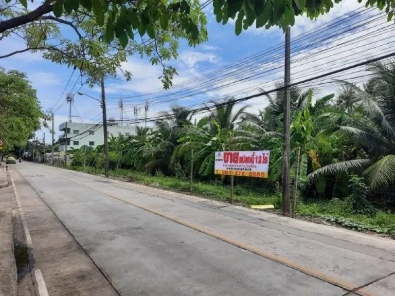 ขายที่ดิน 12 ไร่ ซอยพุทธมณฑลสาย 2 ซอย 7 ซอยวัดบุณยประดิษฐ์ แขวงบางไผ่ เขตบางแค