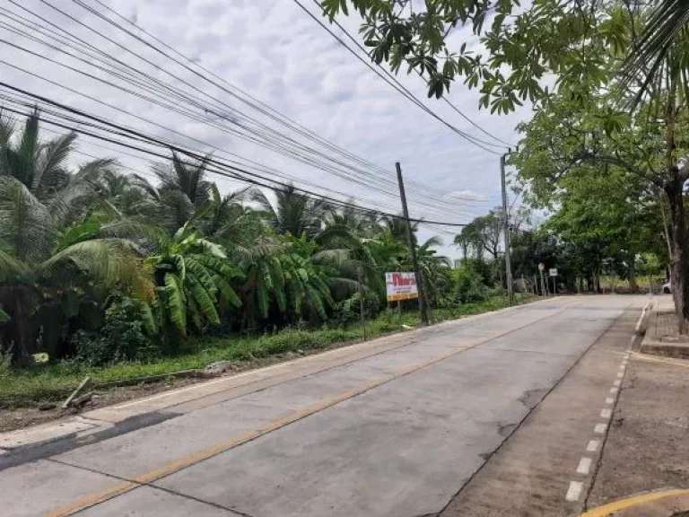 ขายที่ดิน 12 ไร่ ซอยพุทธมณฑลสาย 2 ซอย 7 ซอยวัดบุณยประดิษฐ์ แขวงบางไผ่ เขตบางแค