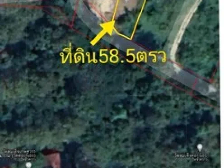 ขายที่ดิน แม่สา แม่ริม เชียงใหม่ 585 ตรว ใกล้เทสโก้ 099 6066369