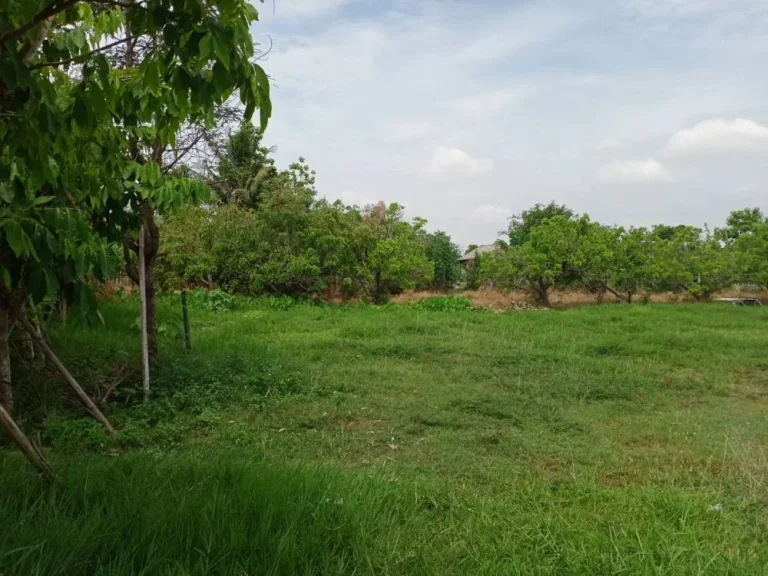 ขายที่ดินข้างกุลพันธ์ 9 บ้านแหวนหางดง ราคาถูก