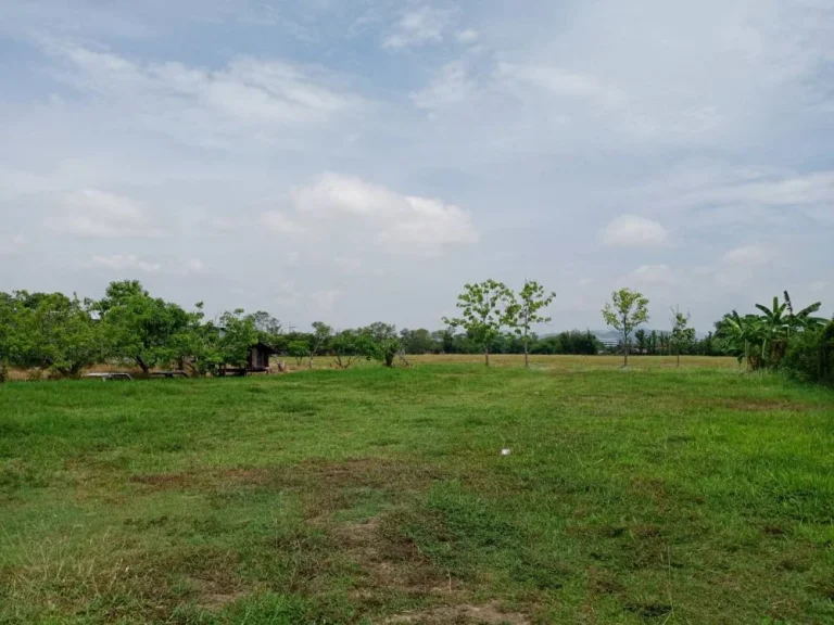 ขายที่ดินข้างกุลพันธ์ 9 บ้านแหวนหางดง ราคาถูก