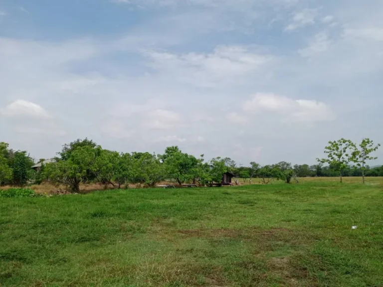 ขายที่ดินข้างกุลพันธ์ 9 บ้านแหวนหางดง ราคาถูก